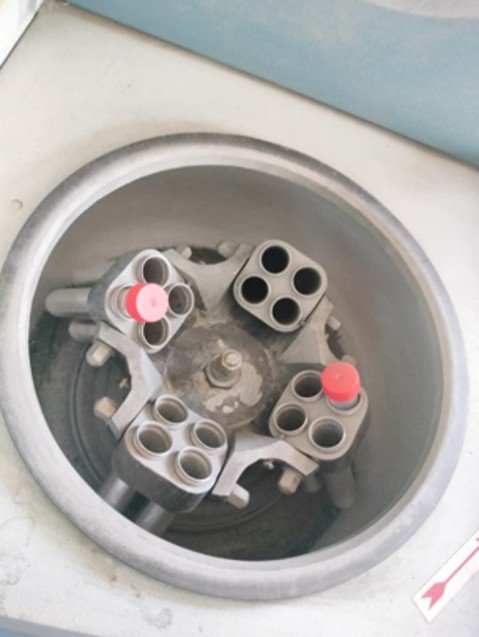 Centrifuge rotor showing sample tubes during entrapment efficiency determination.
