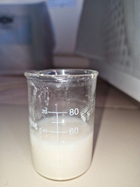 Clove oil-loaded niosomal dispersion obtained after thin film hydration.