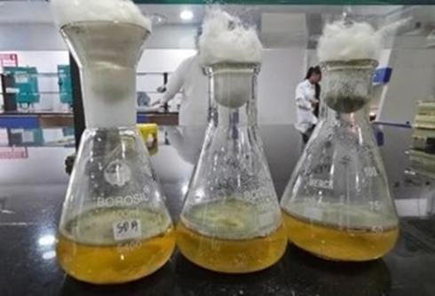 Enzyme production assay.