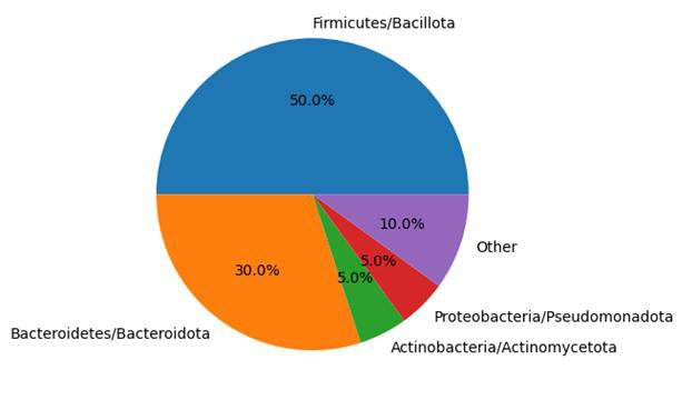 Gut microbiota composition by phylum conclusion.