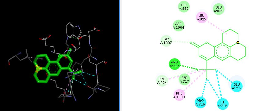 In Silico Design and Assessment of Coumarin Derivatives for Anticancer ...