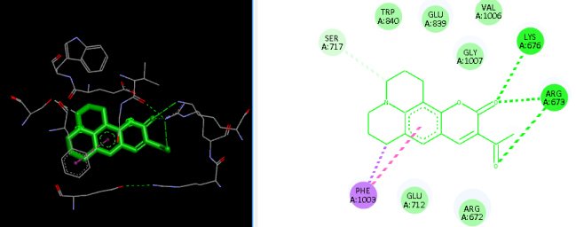 In Silico Design and Assessment of Coumarin Derivatives for Anticancer ...