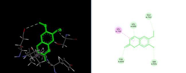 In Silico Design and Assessment of Coumarin Derivatives for Anticancer ...