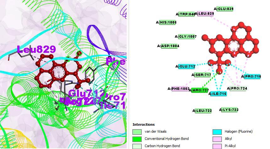 Detailed 2D interaction profile of lead compound L3 with topoisomerase IIα (4FM9).