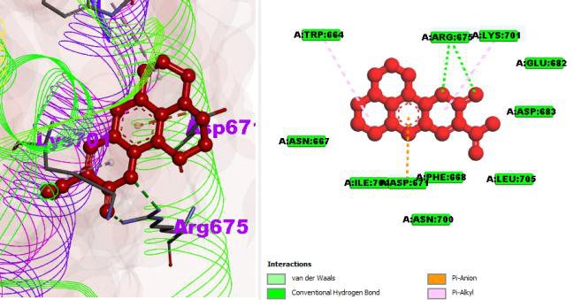 Detailed 2D interaction profile of lead compound L12 with topoisomerase IIα (4FM9).