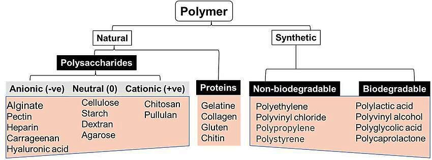 Classification of polymers in topical drug delivery.