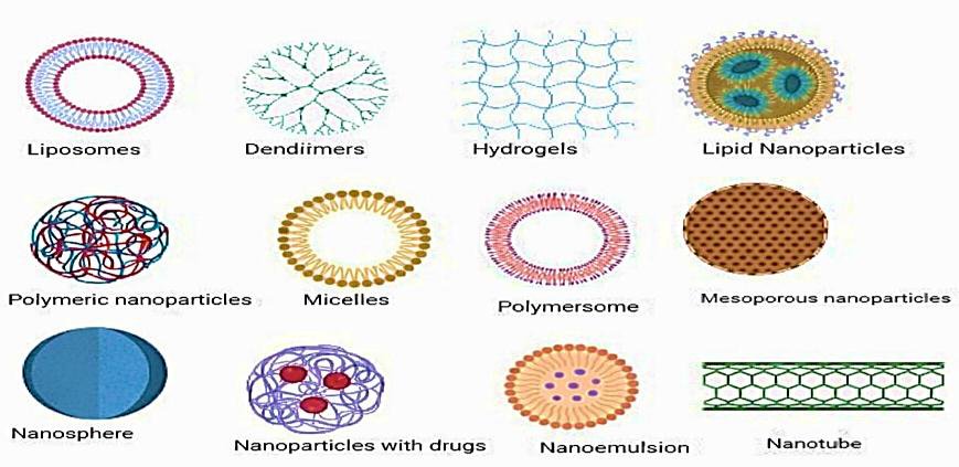 Polymers used in topical drug delivery system.