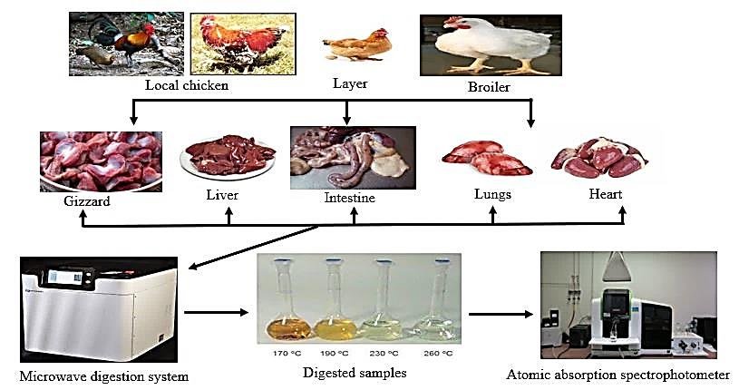 Materials and sample preparation/analysis.