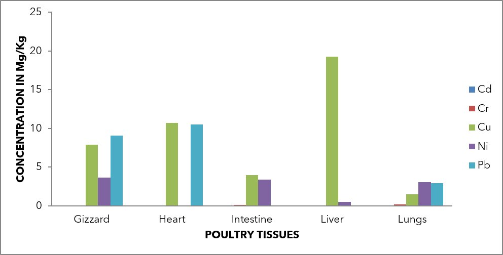 Mean heavy metal concentrations in tissues of layers.