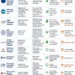 Infographic comparing top fully funded postdoctoral fellowships in the Netherlands for 2027, including MSCA, NWO Veni, EMBO, HFSP, ECTRIMS, ERCIM, ESA, CRI Irvington, ERS, ESMO, and NIAS, with eligibility, funding, duration, and application deadlines.